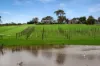 150 McLennan Road, Heathcote, Vic 3523-Image