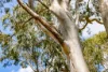 150 Mooloo Road, Langshaw, Qld 4570-Image
