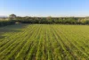 150 Palmer Road, Sunbury, Vic 3429-Image