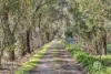 150 Pearcedale Road, Pearcedale, Vic 3912-Image