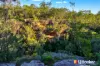 150 Rapleys Loop Road, Werombi, NSW 2570-Image