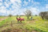 1503 Corop Wanalta Road, Corop, Vic 3559-Image