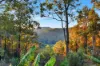 1507 Murrays Run Road, Murrays Run, NSW 2325-Image