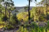 1507 Murrays Run Road, Murrays Run, NSW 2325-Image