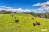 1510 George Downes Drive, Kulnura, NSW 2250-Image