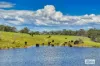 1510 George Downes Drive, Kulnura, NSW 2250-Image