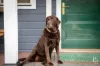 152 Croziers Road, Jaspers Brush, NSW 2535-Image