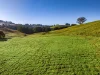152 Nashua Road, Fernleigh, NSW 2479-Image