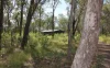 152 Oyster Creek Road, Oyster Creek, Qld 4674-Image