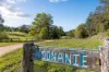 1529 Bowraville Road, Bellingen, NSW 2454-Image