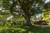 1529 Bowraville Road, Bellingen, NSW 2454-Image