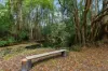 1529 Bowraville Road, Bellingen, NSW 2454-Image