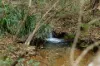 1529 Bowraville Road, Bellingen, NSW 2454-Image