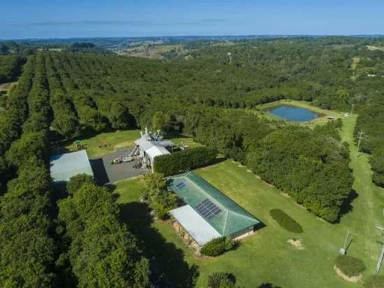 153  Fletcher Road, Dunoon, NSW 2480