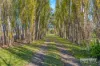 1532 Waterloo Road, Yarragon, Vic 3823-Image