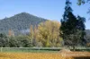 1534 Mitta North Road, Mitta Mitta, Vic 3701-Image