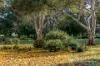 1534 Mitta North Road, Mitta Mitta, Vic 3701-Image