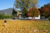 1534 Mitta North Road, Mitta Mitta, Vic 3701-Image