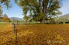 1534 Mitta North Road, Mitta Mitta, Vic 3701-Image