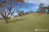 1536 Kerry Road, Kerry, Qld 4285-Image