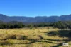 154 Moons Road, Bemboka, NSW 2550-Image