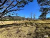 154 Moons Road, Bemboka, NSW 2550-Image