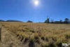154 Moons Road, Bemboka, NSW 2550-Image