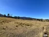 154 Moons Road, Bemboka, NSW 2550-Image
