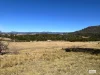 154 Moons Road, Bemboka, NSW 2550-Image