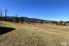 154 Moons Road, Bemboka, NSW 2550-Image