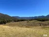 154 Moons Road, Bemboka, NSW 2550-Image