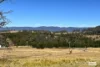 154 Moons Road, Bemboka, NSW 2550-Image