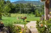 154  Tuntable Creek Road, The Channon, NSW 2480-Image