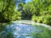 154  Tuntable Creek Road, The Channon, NSW 2480-Image