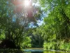 154  Tuntable Creek Road, The Channon, NSW 2480-Image
