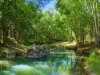 154  Tuntable Creek Road, The Channon, NSW 2480-Image