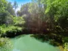 154  Tuntable Creek Road, The Channon, NSW 2480-Image