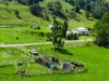 154  Tuntable Creek Road, The Channon, NSW 2480-Image