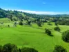 154  Tuntable Creek Road, The Channon, NSW 2480-Image