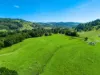 154  Tuntable Creek Road, The Channon, NSW 2480-Image