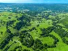 154  Tuntable Creek Road, The Channon, NSW 2480-Image