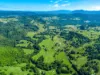154  Tuntable Creek Road, The Channon, NSW 2480-Image
