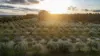 1544 Fisheries Road, Myrup, WA 6450