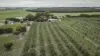 1544 Fisheries Road, Myrup, WA 6450-Image