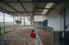 1544 Fisheries Road, Myrup, WA 6450-Image