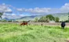 1545 Nowendoc Road, Mount George, NSW 2424