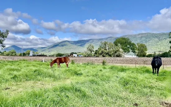 1545 Nowendoc Road, Mount George, NSW 2424