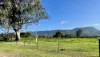 1545 Nowendoc Road, Mount George, NSW 2424-Image