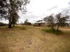155 Ballantine Road, Golden Heights, SA 5322-Image