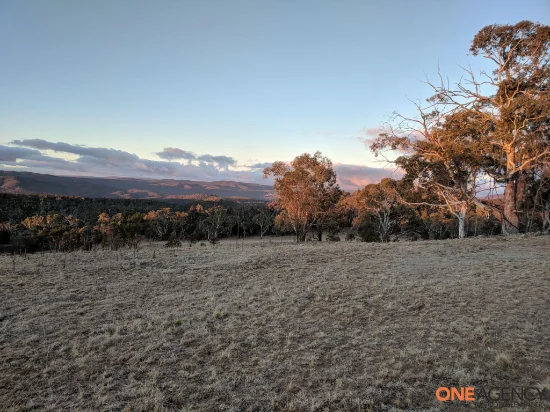 1560 Numeralla Road, Numeralla, NSW 2630